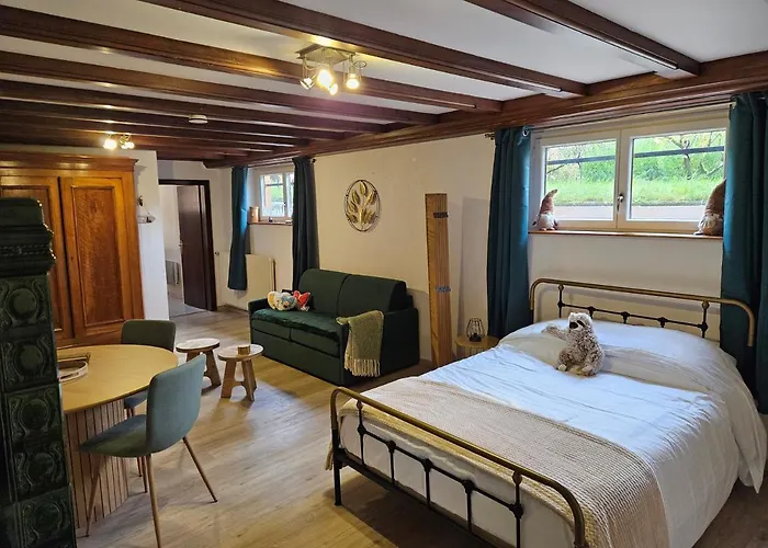 La Parenthese Apartment Kaysersberg-Vignoble